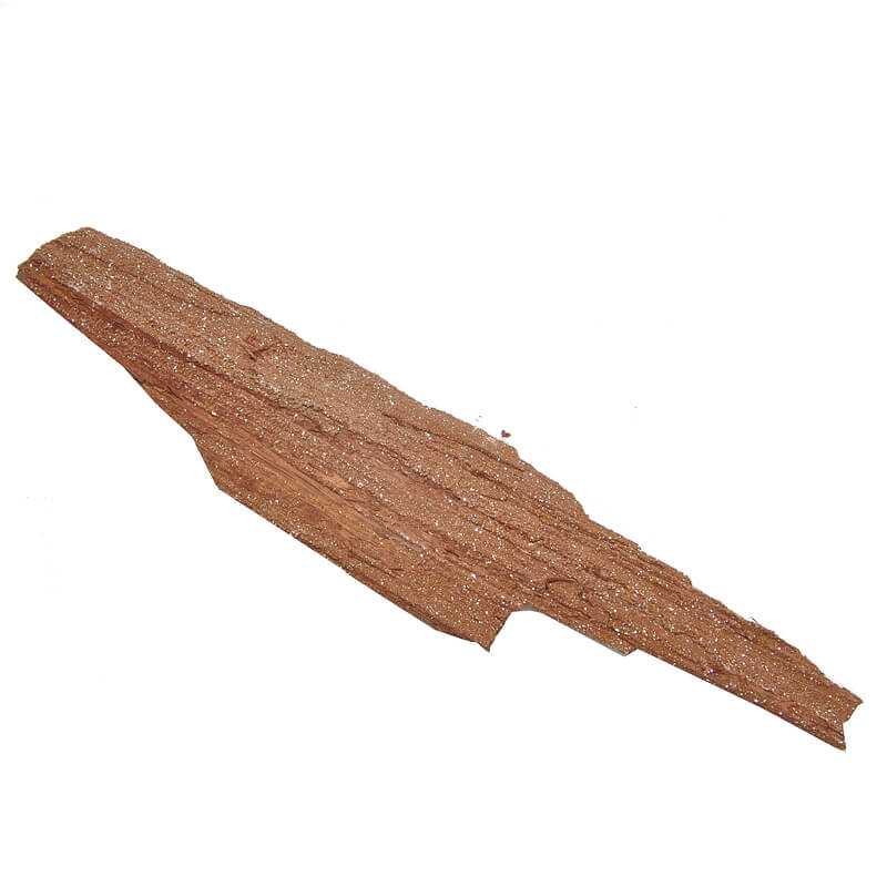 Verkieselter Holz Stamm - Kehuna Stones and Senses