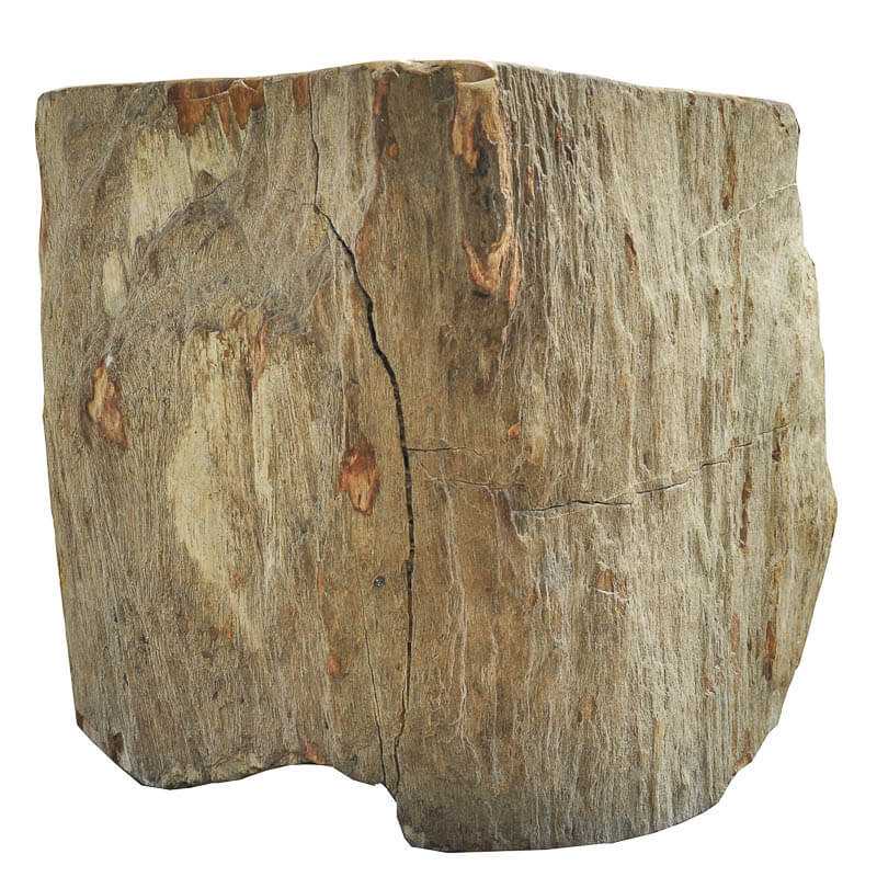 Versteinertes Holz - Naturprodukt aus Sumatra - Kehuna Stones and Senses
