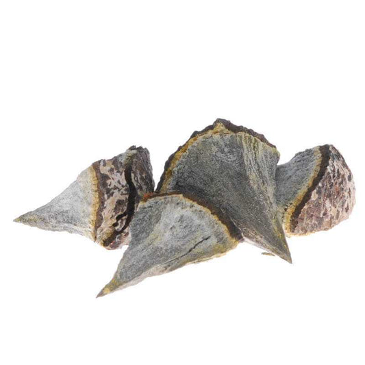 Aktinolith Rohstein 3cm grau - Kehuna Stones and Senses