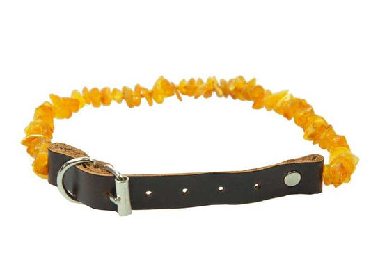 Bernstein Zeckenhalsband für Hunde - Kehuna Stones and Senses