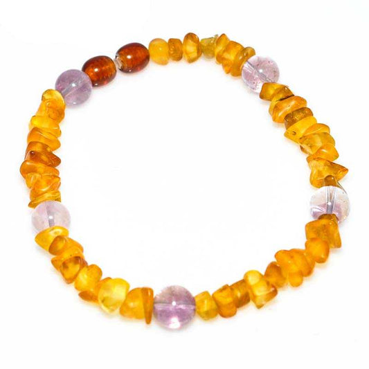 Bernstein Zeckenhalsband mit Amethyst - Kehuna Stones and Senses