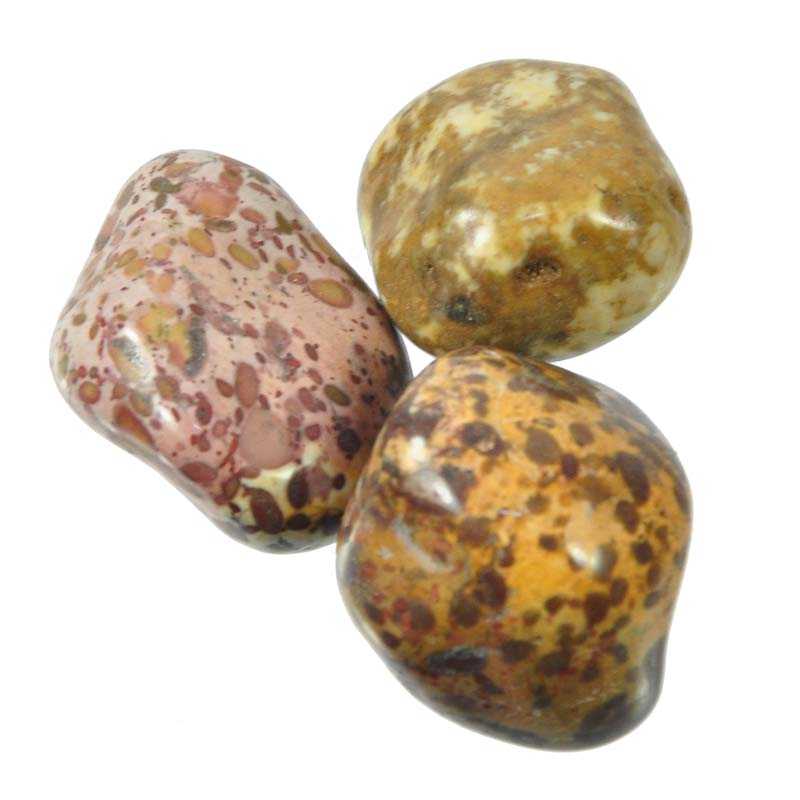 Rhyolith Regenwald Jaspis Trommelstein - Kehuna Stones and Senses