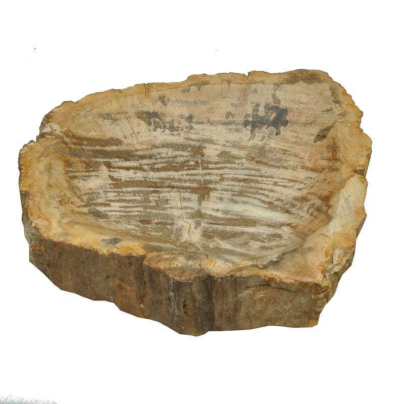 Schale Versteinertes Holz - Kehuna Stones and Senses