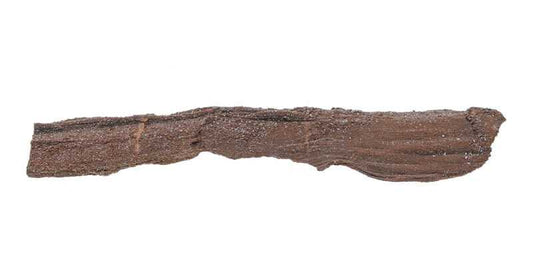 Verkieselter Holzstamm mit Quarzkristallen - Kehuna Stones and Senses