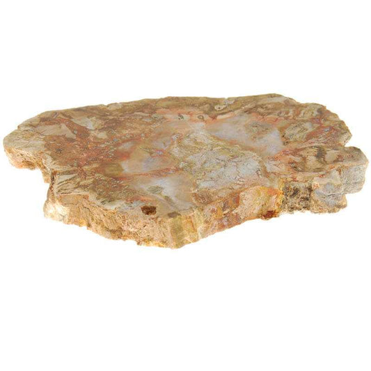 Versteinerte Holz Platte - Kehuna Stones and Senses