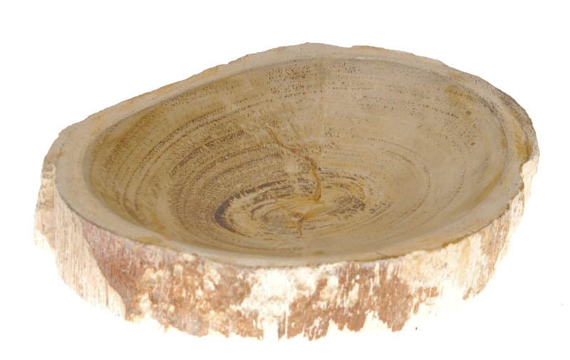 Versteinertes Holz als Schale - Kehuna Stones and Senses