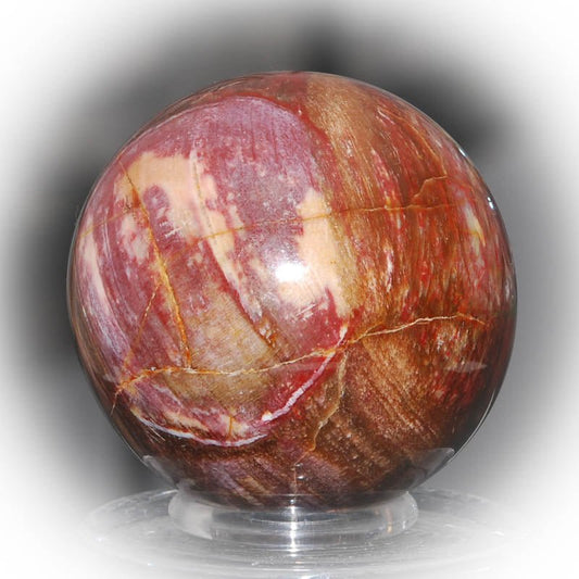 Versteinertes Holz Kugel - Kehuna Stones and Senses