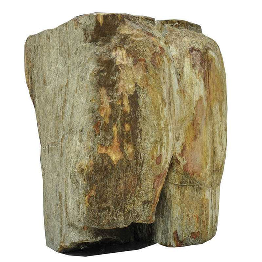 Versteinertes Holz - Naturprodukt aus Sumatra - Kehuna Stones and Senses