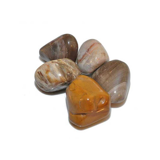Versteinertes Holz Trommelstein - Kehuna Stones and Senses