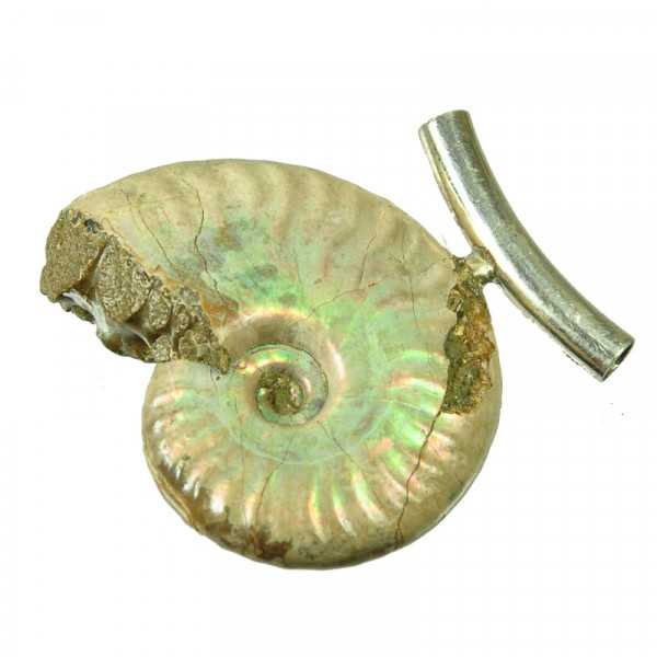 Ammonit Anhaenger