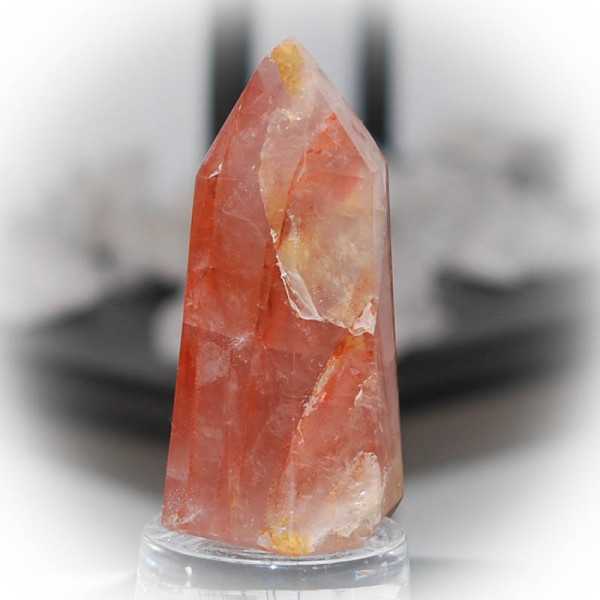 red healer