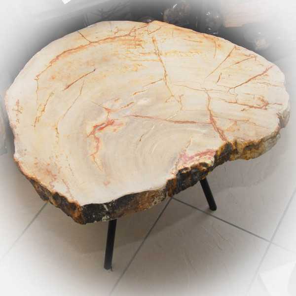 Versteinertes Holz Tisch